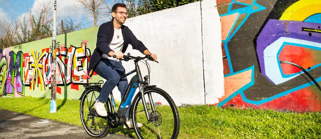 Gebruikte elektrische trekkingfiets : Koopgids