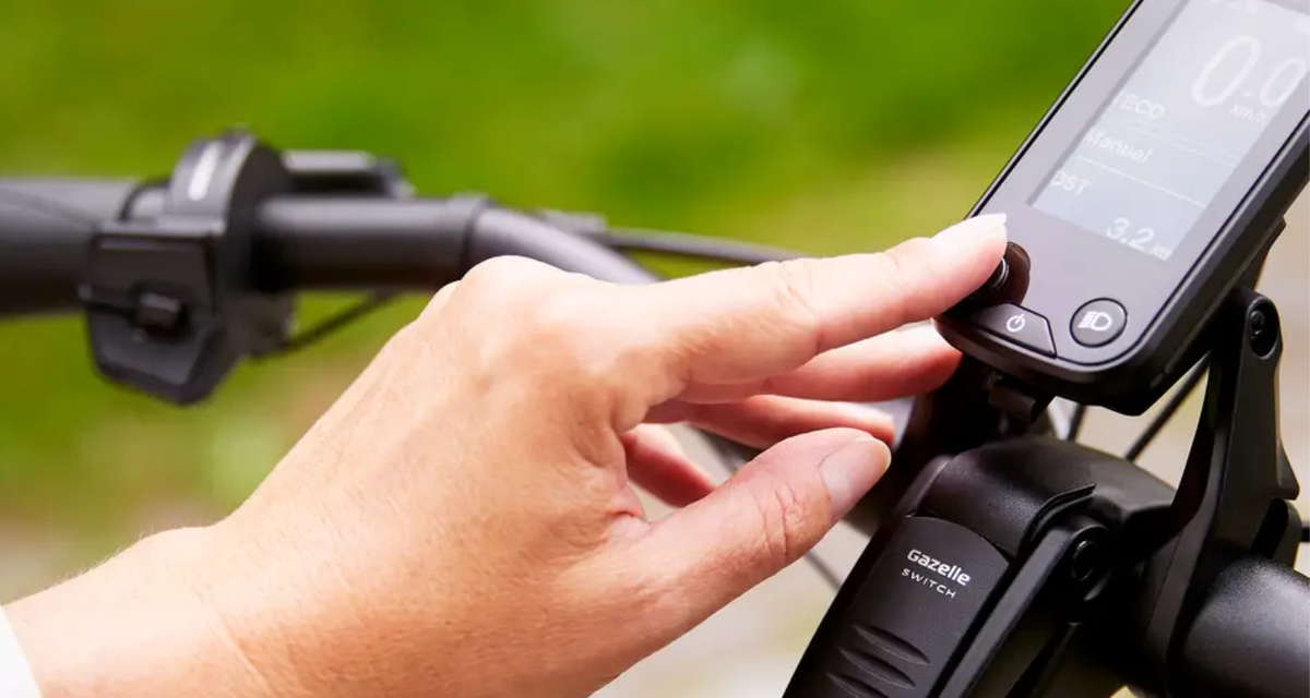 fahrradstnder 14 zoll Fahrradstnder Fahrrad 14 Zoll