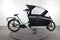 Urban Arrow Family Active Plus