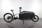 Cube Cargo Sport Dual Hybrid
