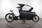 Urban Arrow Family Active Line Plus