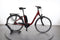 Raleigh Kingston 8