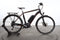 Ebike Das Original Trekking Pro