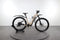 Advanced E-Bike Offroad Pro X