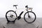 Riese & Müller Roadster urban