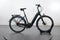 Batavus Finez E-go Power Exclusive