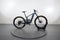 Santa Cruz Heckler 9 C S