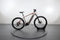 Corratec E-Power X-Vert Pro