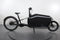 Cube Cargo Dual Hybrid 500