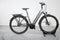 Raleigh Bristol XXL