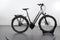 Raleigh Bristol XXL