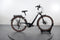 Pegasus Premio EVO 10 Lite