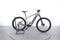 Corratec E-Power X-Vert Pro