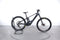 Orbea Wild FS H10