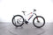 Haibike SDuro Hardseven 5.0