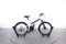 Beuk 24" S