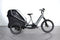 Cube Trike Familie Hybride
