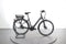 Giant Surrounding E+1