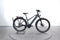Raymon TourRay E 6.5