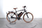 Riese & Müller Cruiser Vario