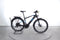 Raymon TourRay E 8.0