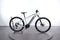 Lapierre Overvolt HT 5.4