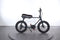 Ruff Cycles Lil Buddy