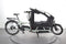 Riese & Müller Load4 75 vario