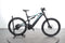 Bianchi E-Vertic FX-Type