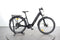 Bertin Active Cycles