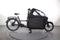 Riese & Müller Packster 70 Vario