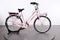 Gazelle MISS GRACE C7+ HMB