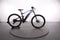 Fantic XTF 1.5