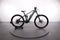 Bulls Sonic Evo AM 2 Carbon Er29
