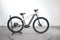 Mondraker Prime 29