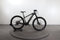 Trek Powerfly 7