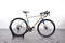 Wilier Jareen