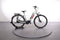 Batavus Altura E-go Power Pro