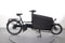 Riese & Müller Transporter2 65 Vario