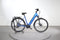 Raleigh Kent 10 XXL