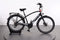 Electra Townie Path Go! 10D EQ Step-Over