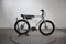 Ruff Cycles Biggie
