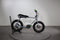 Ruff Cycles Lil Buddy
