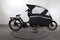 Urban Arrow Family Performance Line