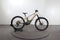 Orbea Wild H10
