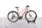 Riese & Müller UBN Seven Touring