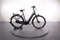 Batavus Finez E-go Power