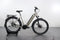 Fiets van Stadsfiets 890 PURE