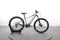 Giant 2 Sport