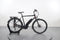 Batavus Zonar E-GO